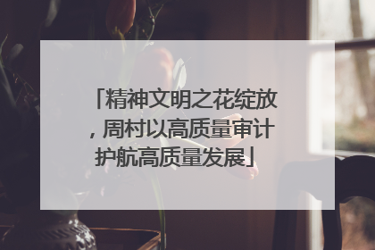 精神文明之花绽放，周村以高质量审计护航高质量发展