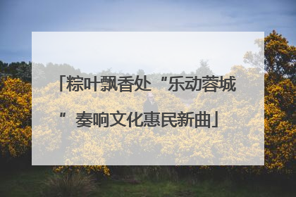 粽叶飘香处“乐动蓉城”奏响文化惠民新曲