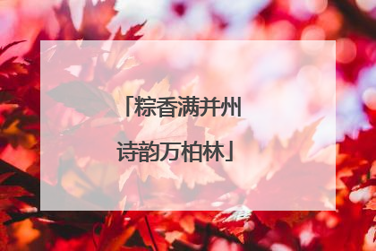 粽香满并州 诗韵万柏林