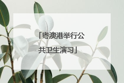 粤澳港举行公共卫生演习