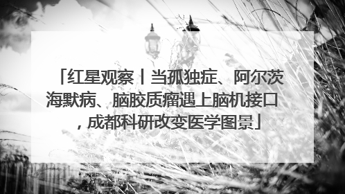 红星观察丨当孤独症、阿尔茨海默病、脑胶质瘤遇上脑机接口，成都科研改变医学图景