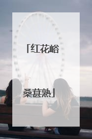 红花峪 桑葚熟