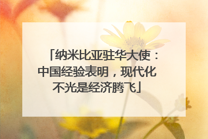 纳米比亚驻华大使：中国经验表明，现代化不光是经济腾飞