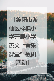 绵阳市游仙区梓棉小学开展小学语文“富乐课堂”教研活动