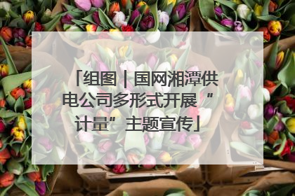 组图｜国网湘潭供电公司多形式开展“计量”主题宣传