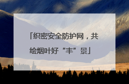 织密安全防护网，共绘烟叶好“丰”景