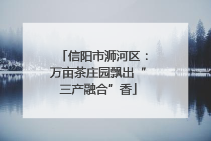 信阳市浉河区：万亩茶庄园飘出“三产融合”香
