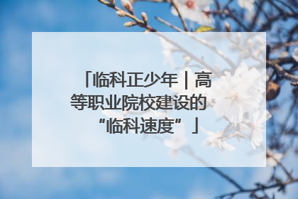 临科正少年｜高等职业院校建设的“临科速度”