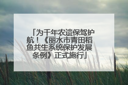 为千年农遗保驾护航！《丽水市青田稻鱼共生系统保护发展条例》正式施行