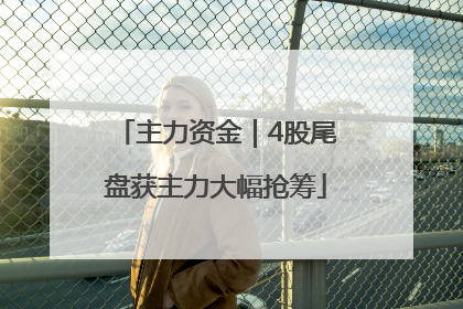 主力资金｜4股尾盘获主力大幅抢筹