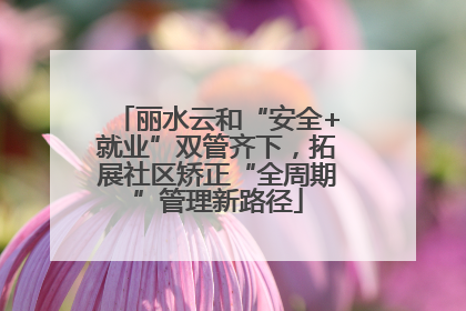丽水云和“安全+就业”双管齐下，拓展社区矫正“全周期”管理新路径