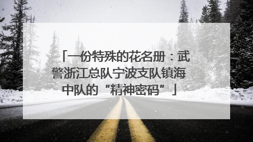 一份特殊的花名册：武警浙江总队宁波支队镇海中队的“精神密码”