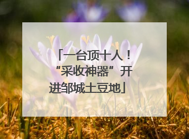 一台顶十人！“采收神器”开进邹城土豆地