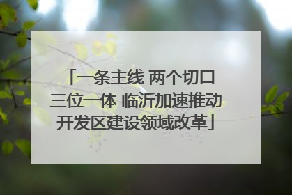 一条主线 两个切口 三位一体 临沂加速推动开发区建设领域改革