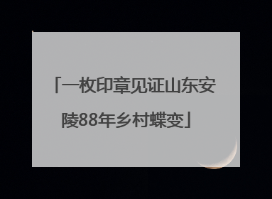 一枚印章见证山东安陵88年乡村蝶变