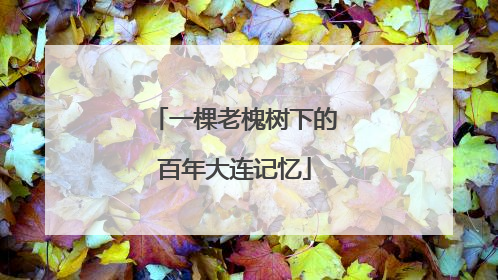 一棵老槐树下的百年大连记忆