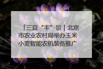 三夏“丰”景｜北京市农业农村局举办玉米小麦智能农机装备推广“田间日”活动