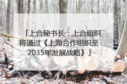上合秘书长：上合组织将通过《上海合作组织至2035年发展战略》