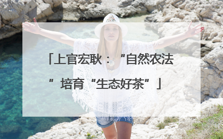 上官宏耿：“自然农法”培育“生态好茶”