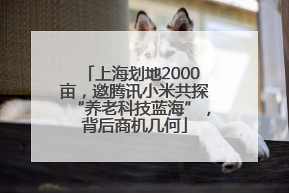 上海划地2000亩，邀腾讯小米共探“养老科技蓝海”，背后商机几何