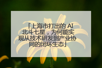 上海市打出的 AI 北斗七星，为何能实现从技术研发到产业协同的闭环生态