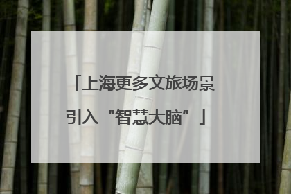 上海更多文旅场景引入“智慧大脑”