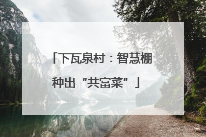 下瓦泉村：智慧棚种出“共富菜”