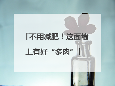 不用减肥！这面墙上有好“多肉”