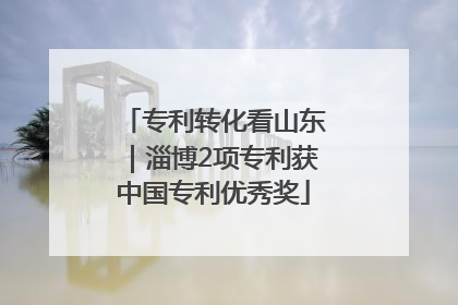 专利转化看山东｜淄博2项专利获中国专利优秀奖