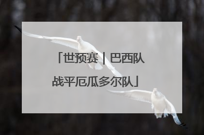 世预赛｜巴西队战平厄瓜多尔队