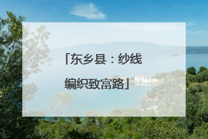 东乡县：纱线编织致富路