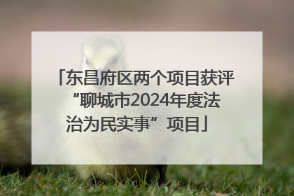东昌府区两个项目获评“聊城市2024年度法治为民实事”项目