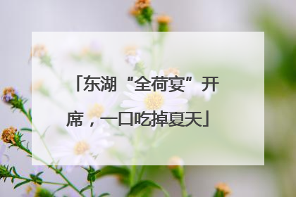 东湖“全荷宴”开席，一口吃掉夏天