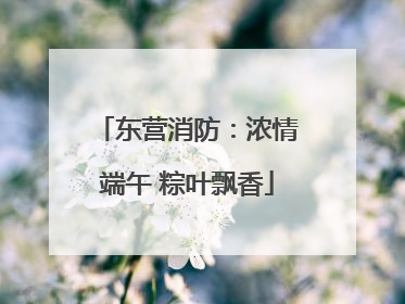 东营消防：浓情端午 粽叶飘香