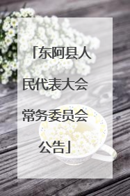 东阿县人民代表大会常务委员会公告