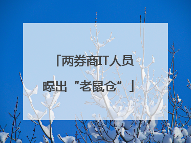 两券商IT人员曝出“老鼠仓”