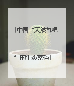 中国“天然氧吧”的生态密码