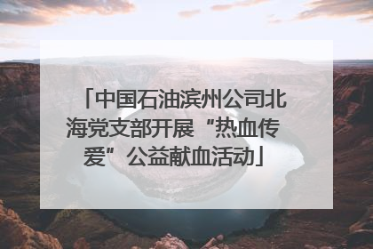 中国石油滨州公司北海党支部开展“热血传爱”公益献血活动