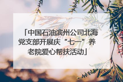 中国石油滨州公司北海党支部开展庆“七一”养老院爱心帮扶活动