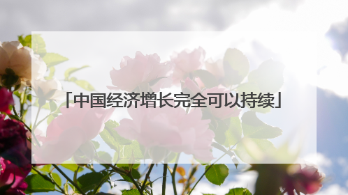 中国经济增长完全可以持续