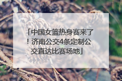 中国女篮热身赛来了！济南公交4条定制公交直达比赛场地