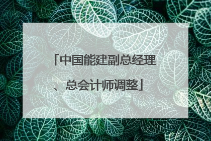中国能建副总经理、总会计师调整