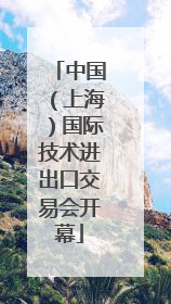 中国（上海）国际技术进出口交易会开幕
