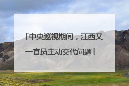 中央巡视期间，江西又一官员主动交代问题