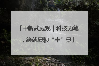 中新武威观｜科技为笔，绘就夏粮“丰”景