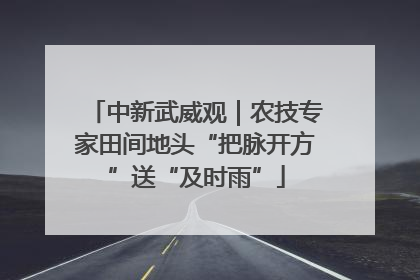 中新武威观｜农技专家田间地头“把脉开方”送“及时雨”