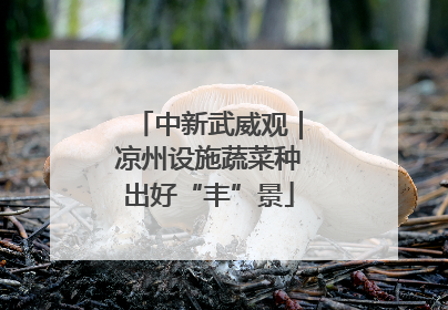 中新武威观｜凉州设施蔬菜种出好“丰”景