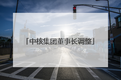 中核集团董事长调整