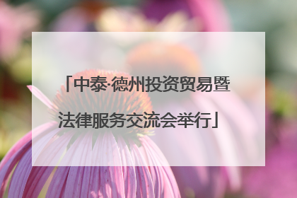 中泰·德州投资贸易暨法律服务交流会举行