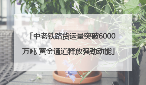 中老铁路货运量突破6000万吨 黄金通道释放强劲动能